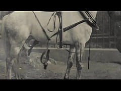 Play MP4 - Dark Lantern Entertainment presents 'The Sins Of Our step Grandmothers' from My Secret Life&comma; The Erotic Confessions of a Victorian English Gentleman