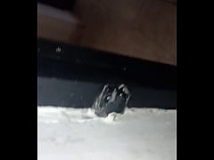 Play MP4 - El vecino me solprende en el ba&ntilde;o y lo invito a conpa&ntilde;arme