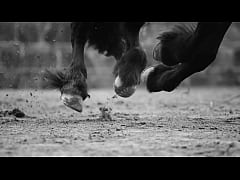 Play MP4 - Maluma - Feid - Mojando Asiento