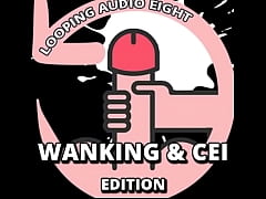 Play MP4 - Looping Audio Eight WANKING and CEI Edition By Goddess Lana