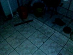 Play MP4 - lorinha brazil 3