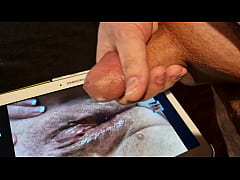 Play MP4 - Tribut f&uuml;r Alamosprings