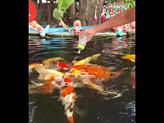 Play MP4 - Only a few more days in Thailand-I&rsquo;ll be back next year&excl;