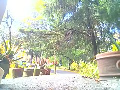 Play MP4 - sexy big ass crossdresser 19