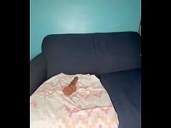 Play MP4 - HONEYTHEITGIRL