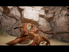 Play MP4 - Tiger and Lion find a near by cave and make love - Wildlife