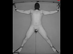 Play MP4 - EXPERIMENT&colon; COLLECTIVELY FRIED BALLS has officially started&period; Check out our website for more info and participate&period;