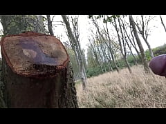 Play MP4 - Pissing up a tree