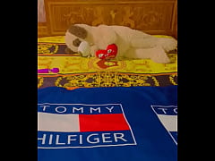 Play MP4 - Sundaydogood614 - update &num;962 - VID 20250412 162709 - Apr 12&comma; 2025