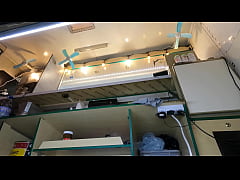 Play MP4 - Alice teasing boss with her sexy ass at work