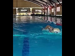 Play MP4 - Regres&eacute; a nadar y mi verga pide pucha