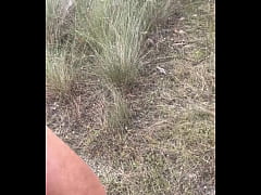 Play MP4 - Hiking in the Everglades