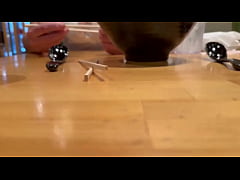 Play MP4 - Enjoying a shared bowl of slurpy udon noodles in Waikiki