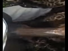 Play MP4 - Sloppy head from my thot