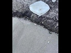 Play MP4 - - Update &num;110 &lpar;2024-07-30T15&colon;02&colon;02&period;000Z&rpar;