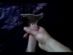 Play MP4 - cumming on sisters panties number 2