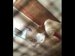 Play MP4 - 20151009 212353