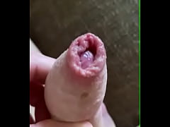 Play MP4 - Neostinydick - chat content &num;1 - JICF3977 - Dec 26&comma; 2024