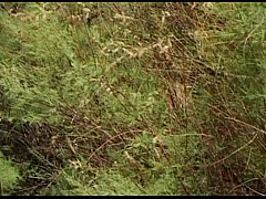 Play MP4 - Metro - Young Wet And Wild 02 - scene 2